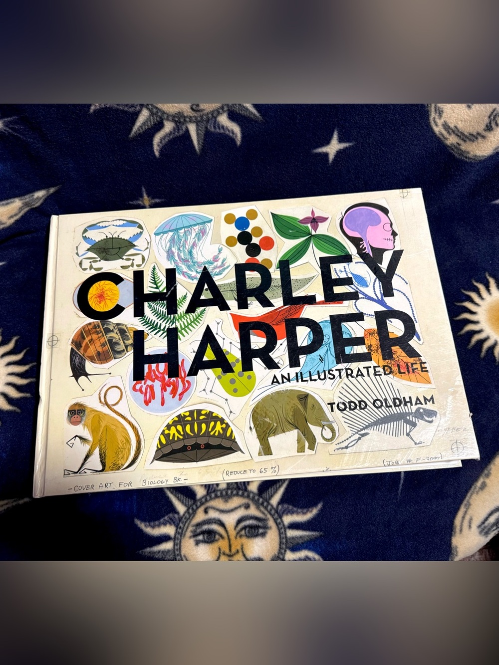 Charley Harper An Illustrated Life Todd Oldham Giant Art Book Biology Nature